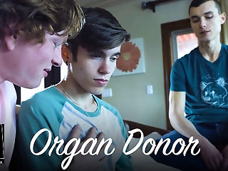 twink starts liking men heart transplant
